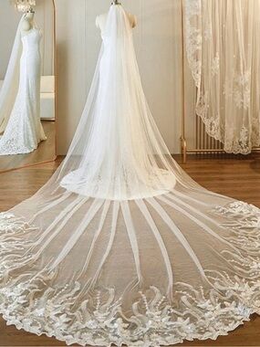 Elegant Long Lace Cathedral Wedding Veil in White